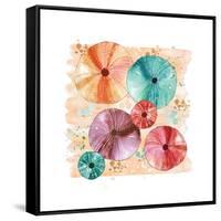 Beachcomber Sea Urchins-Sara Berrenson-Framed Stretched Canvas