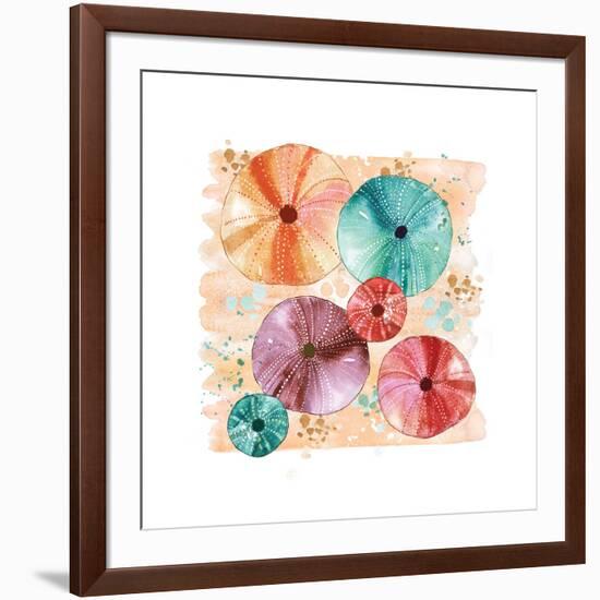 Beachcomber Sea Urchins-Sara Berrenson-Framed Art Print