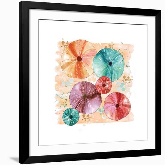 Beachcomber Sea Urchins-Sara Berrenson-Framed Art Print