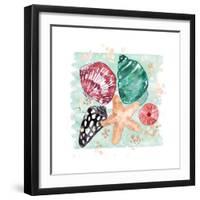 Beachcomber Shells-Sara Berrenson-Framed Art Print