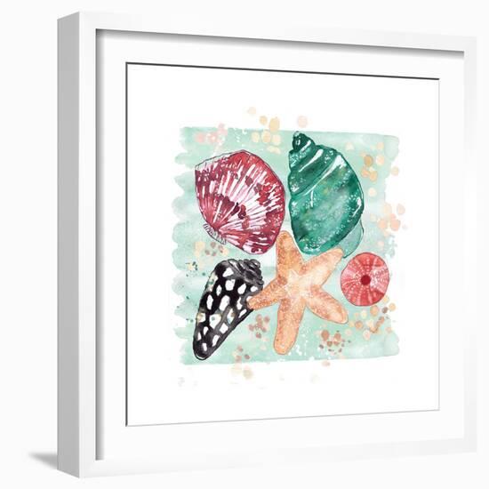 Beachcomber Shells-Sara Berrenson-Framed Art Print