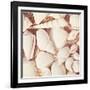 Beachcomber-Carolyn Cochrane-Framed Photographic Print