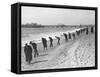 Beachcombers Searching Brighton Beach for Treasure-null-Framed Stretched Canvas