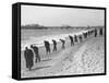 Beachcombers Searching Brighton Beach for Treasure-null-Framed Stretched Canvas