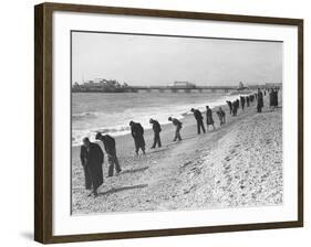 Beachcombers Searching Brighton Beach for Treasure-null-Framed Photographic Print