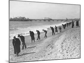 Beachcombers Searching Brighton Beach for Treasure-null-Mounted Photographic Print