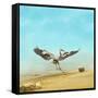 Beachdancing-Jai Johnson-Framed Stretched Canvas