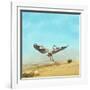 Beachdancing-Jai Johnson-Framed Giclee Print