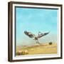 Beachdancing-Jai Johnson-Framed Giclee Print