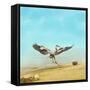 Beachdancing-Jai Johnson-Framed Stretched Canvas