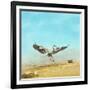 Beachdancing-Jai Johnson-Framed Giclee Print