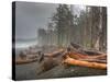 Beached Trees From Ocean Storms, Rialto Beach, Olympic National Park, Washington, USA-Jamie & Judy Wild-Stretched Canvas