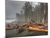 Beached Trees From Ocean Storms, Rialto Beach, Olympic National Park, Washington, USA-Jamie & Judy Wild-Mounted Photographic Print