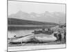 Beached Whale at Hvalfanger Station Norway-null-Mounted Photographic Print