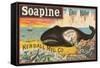 Beached Whale Cleaned by Soapine-null-Framed Stretched Canvas