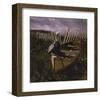 Beached-Steve Hunziker-Framed Art Print