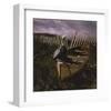 Beached-Steve Hunziker-Framed Art Print