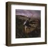 Beached-Steve Hunziker-Framed Art Print