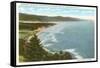 Beaches, Oregon Coast Highway-null-Framed Stretched Canvas