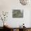 Beachfront Home Stands Among the Debris in Gilchrist, Texas after Hurricane Ike Hit the Area-null-Mounted Photographic Print displayed on a wall