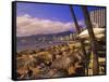 Beachfront Playa Icacos, Acapulco, Mexico-Walter Bibikow-Framed Stretched Canvas