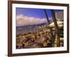 Beachfront Playa Icacos, Acapulco, Mexico-Walter Bibikow-Framed Photographic Print