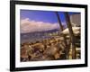 Beachfront Playa Icacos, Acapulco, Mexico-Walter Bibikow-Framed Photographic Print