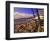 Beachfront Playa Icacos, Acapulco, Mexico-Walter Bibikow-Framed Photographic Print