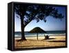 Beachgoers Relaxing at Veradero Beach in Cuba-Eliot Elisofon-Framed Stretched Canvas
