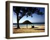 Beachgoers Relaxing at Veradero Beach in Cuba-Eliot Elisofon-Framed Photographic Print