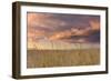 Beachgrass Sunrise-Michael Blanchette Photography-Framed Photographic Print