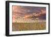 Beachgrass Sunrise-Michael Blanchette Photography-Framed Photographic Print