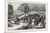 Beaching a Whale at Beer, South Devon, 1876, UK-null-Mounted Giclee Print