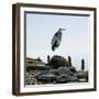 Beachscape Heron I-James McLoughlin-Framed Photographic Print