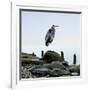 Beachscape Heron I-James McLoughlin-Framed Photographic Print