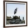 Beachscape Heron I-James McLoughlin-Framed Photographic Print