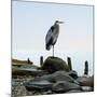 Beachscape Heron I-James McLoughlin-Mounted Photographic Print