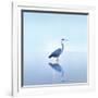 Beachscape Heron II-James McLoughlin-Framed Photographic Print