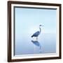 Beachscape Heron II-James McLoughlin-Framed Photographic Print