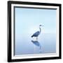 Beachscape Heron II-James McLoughlin-Framed Photographic Print