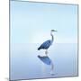 Beachscape Heron II-James McLoughlin-Mounted Photographic Print