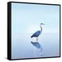Beachscape Heron II-James McLoughlin-Framed Stretched Canvas