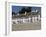 Beachside Cottages Along the Promenade, Lyme Regis, Dorset, England, United Kingdom, Europe-James Emmerson-Framed Photographic Print