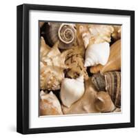 Beachside Shells-Boyce Watt-Framed Giclee Print