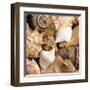 Beachside Shells-Boyce Watt-Framed Giclee Print