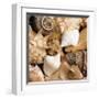 Beachside Shells-Boyce Watt-Framed Giclee Print