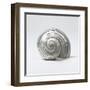 Beachside Treasure II-Assaf Frank-Framed Art Print