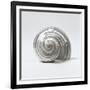 Beachside Treasure II-Assaf Frank-Framed Art Print