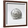 Beachside Treasure II-Assaf Frank-Framed Art Print