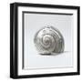 Beachside Treasure II-Assaf Frank-Framed Art Print